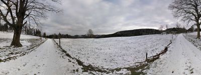 6: 20190103153605_waldenburg_waldweid.jpg