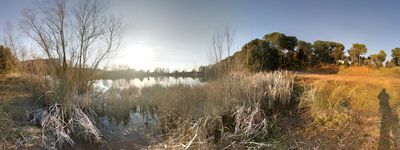 4: 20190228172743_estany_seva.jpg