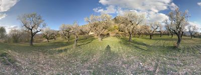 19: 20190305171917_sant_marti_de_canals_pla_de_la_torre.jpg