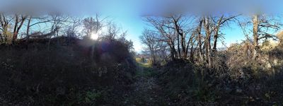 16: 20211222154557_sant_marti_de_canals_cami_antic_de_pessonada.jpg