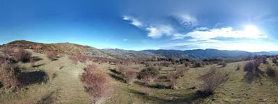 13: 20220102120131_rebollar_de_montsor3.jpg