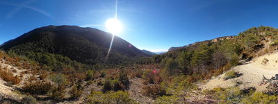 25: 20220218153902_bosc_de_carreu.jpg