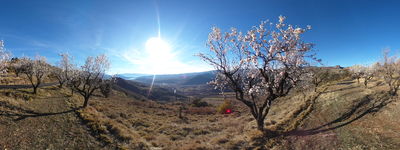 19: 20220220163654_plana_mateu_claverol.jpg