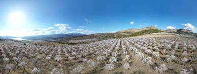 82: 202202281624111_sant_marti_de_canals_seixos_florits.jpg