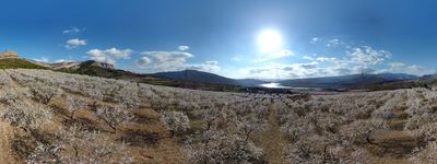 83: 202202281624114_sant_marti_de_canals_seixos_florits.jpg