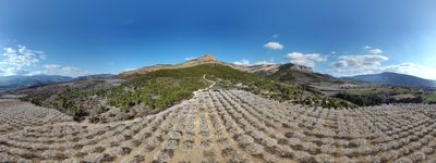 84: 202202281624116_sant_marti_de_canals_seixos_florits.jpg