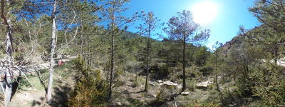 81: 20240509r0010146_esllavissada_esbarsabina.jpg
