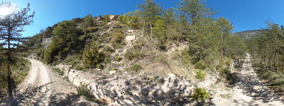 82: 20240509r0010147_esllavissada_esbarsabina.jpg
