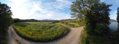 12: 20240512r0010202_via_verda_dels_llacs.jpg