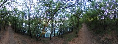 14: 20240512r0010204_via_verda_dels_llacs.jpg