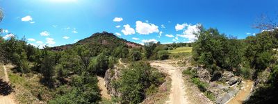 27: 20240521r0010293_via_verda_dels_llacs.jpg
