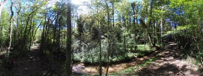 39: 20240521r0010306_via_verda_dels_llacs.jpg