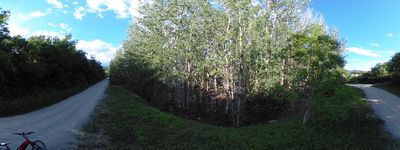 65: 20240521r0010339_via_verda_dels_llacs.jpg