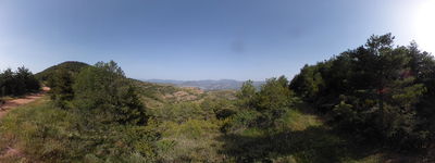19: 20240628r0010437_montsor.jpg