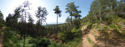 22: 20240628r0010440_pla_de_llac_de_perauba.jpg