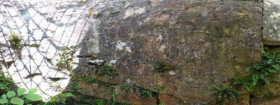 22: 20240719r0010520_burg_waldenburg.jpg