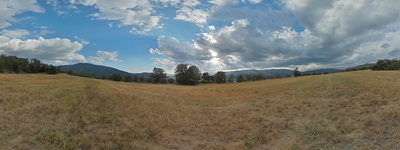 168: 20240901165017_llavaes.jpg
