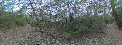 169: 20240901165710_barranc_de_miret.jpg