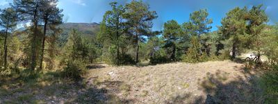 106: 20240911_104956_molina_de_carreu.jpg