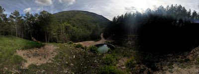 114: 202505211705img_1052_malallau.jpg