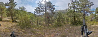 123: 20250813r0010741_molina_de_carreu.jpg