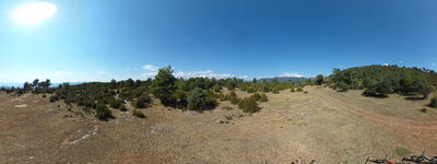 13: 202508231903r0010773_coll_de_solduga.jpg
