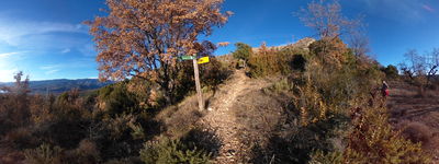 14: 202512241503r0010910_pla_de_la_torre.jpg