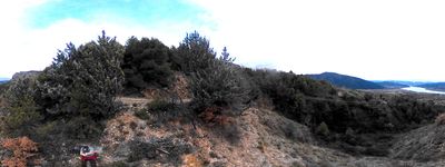 40: 202602091553_brancal_de_sant_joanet.jpg