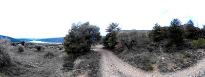 45: 202602091601_sortida_del_sender_de_les_fonts.jpg