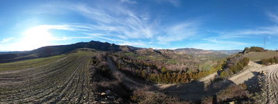 19: 20260225155114_toralla.jpg