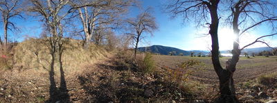 194: 20260316163956_llau_de_llavaes.jpg