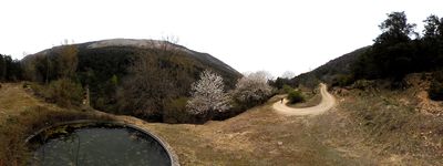 139: 202604111525r0011224_molina_de_carreu.jpg