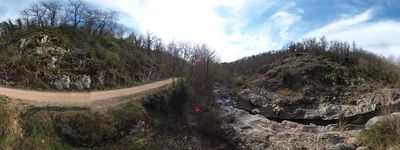 56: 202604181509r0011237_riera_major.jpg