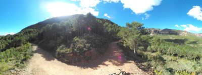8: 202610081141r0011393c_cami_del_bosc_de_serradell.jpg