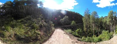 10: 202610081146r0011395c_cami_del_bosc_de_serradell.jpg
