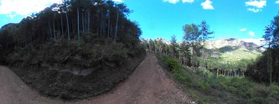 13: 202610081158r0011398c_cami_del_bosc_de_serradell.jpg
